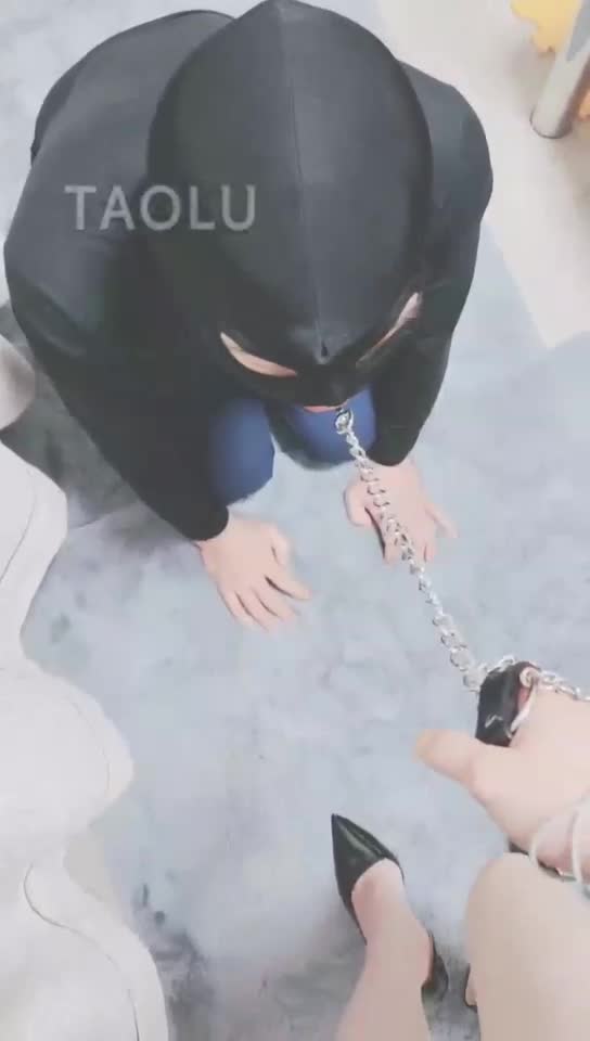 主人美脚惩罚贱狗