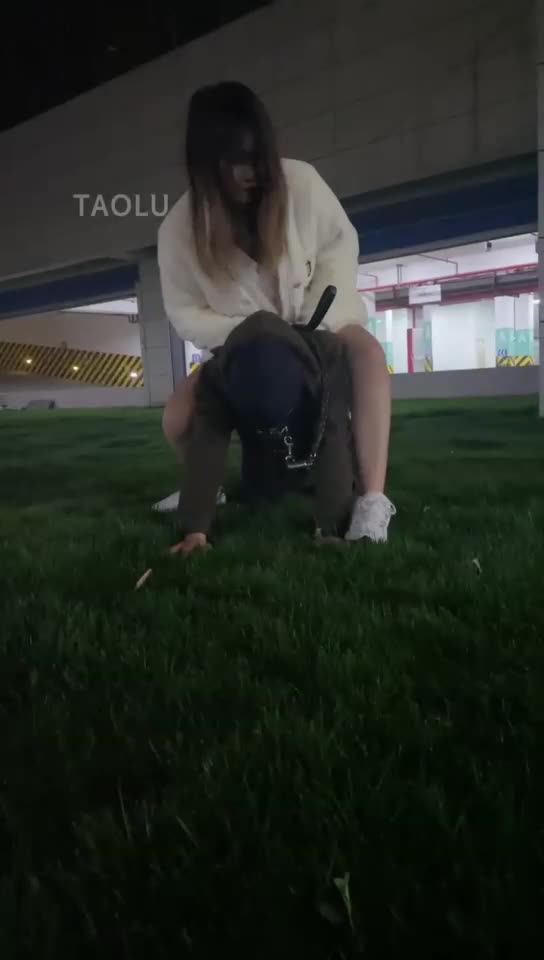 户外溜溜狗
