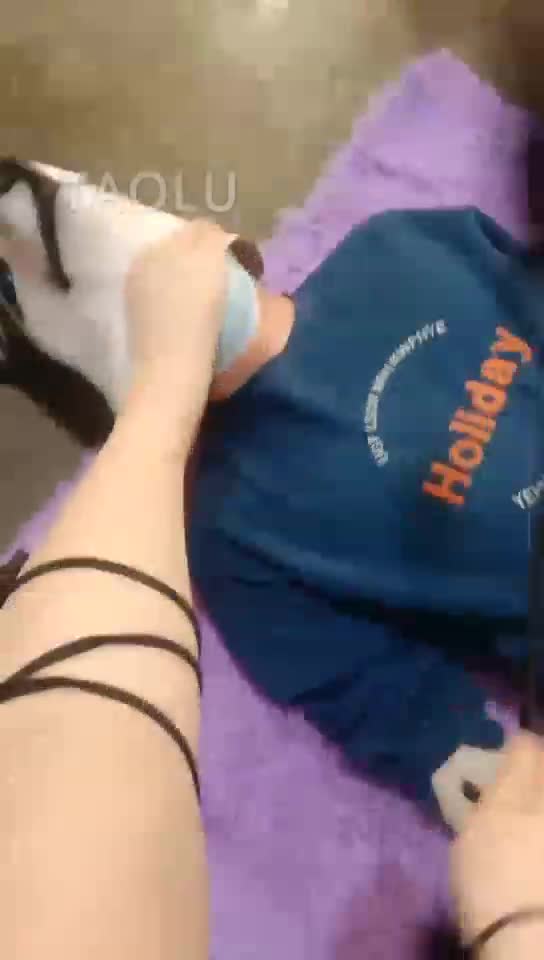 好下贱的哈士奇