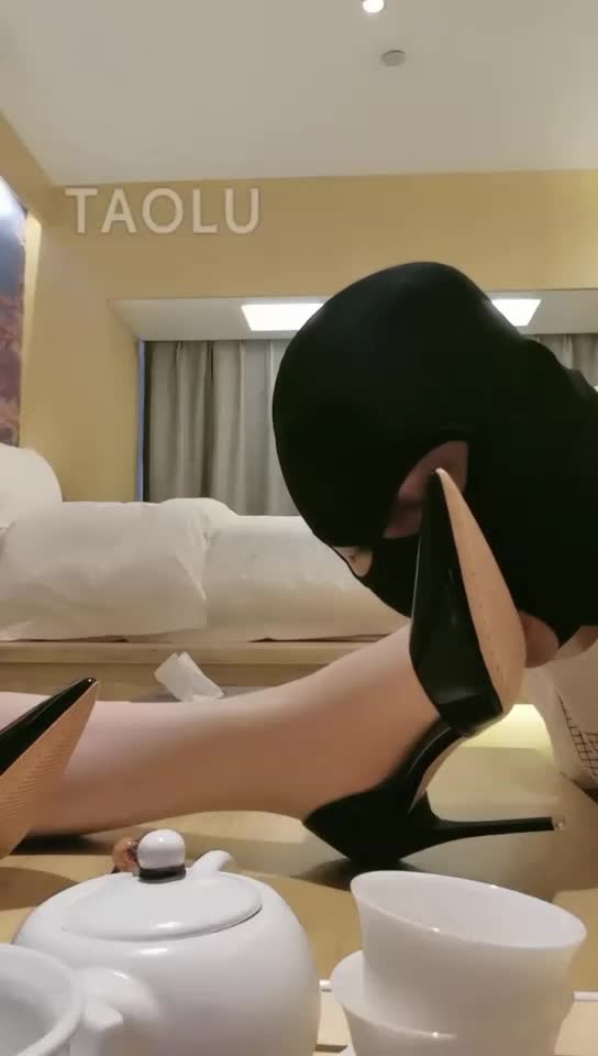 我的同事是狗