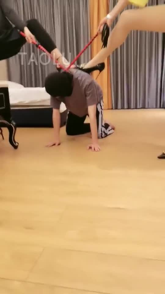 双S玩狗