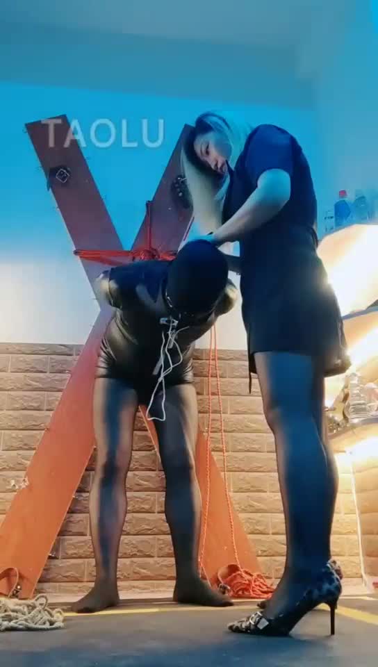 调教犯贱狗