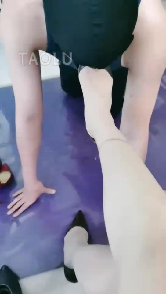 看狗创食 踩踏