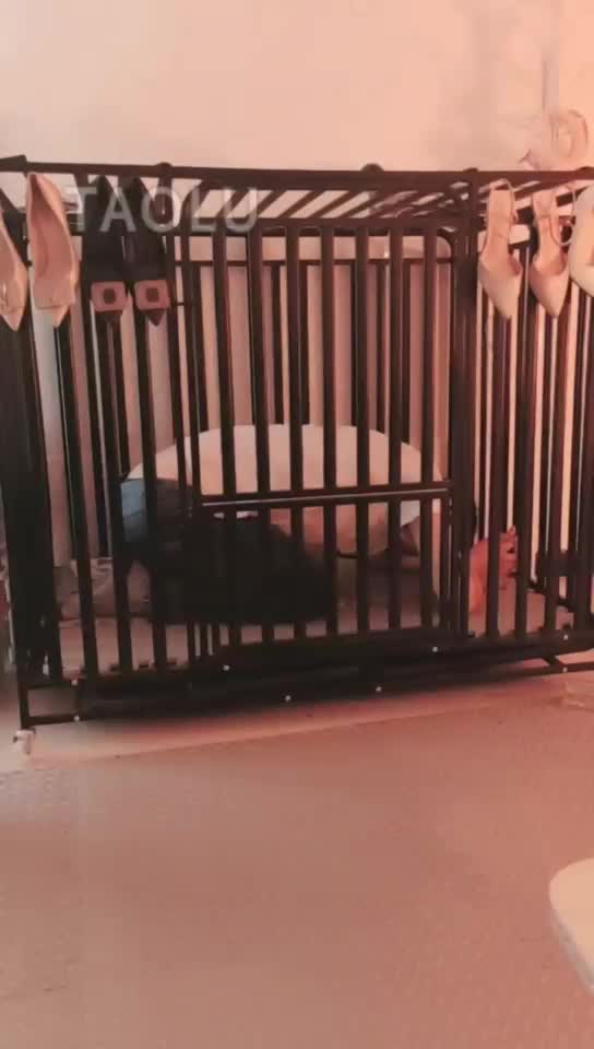 直播奴吃狗粮 打屁股。踩踏