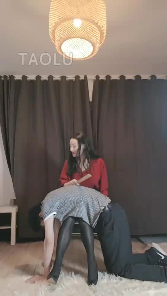 戒尺训导狗儿子