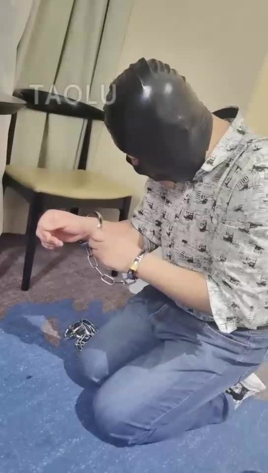 黄金狗前来挑战