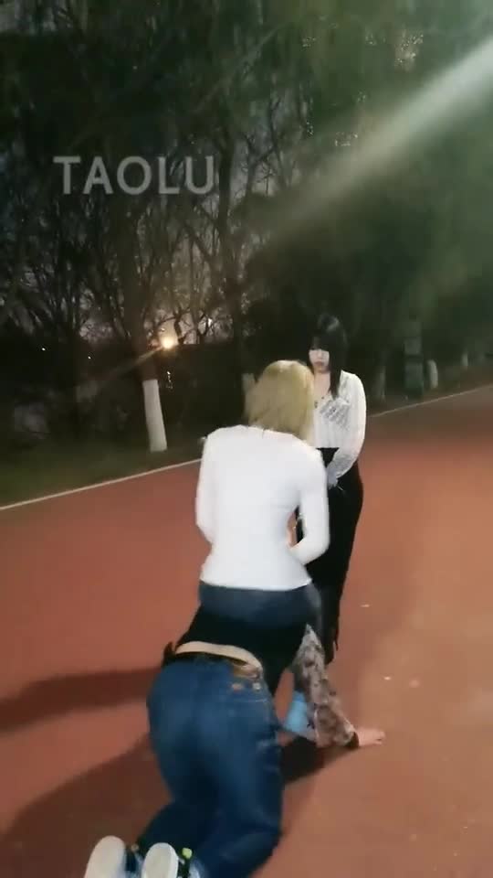 双S户外玩狗