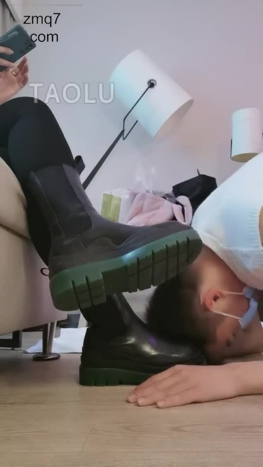 今天玩狗