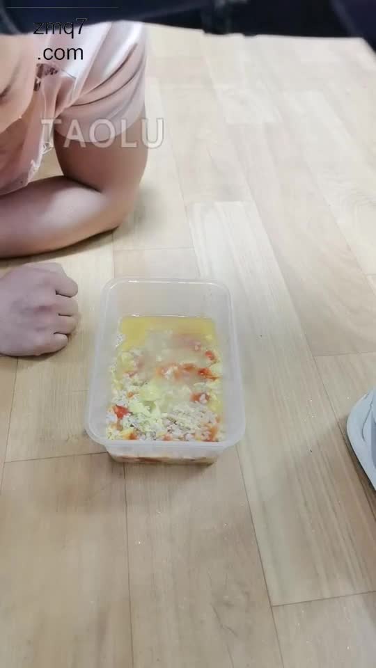 家奴生活 鞭打和圣水场
