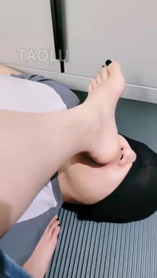 调教贱狗 舔脚