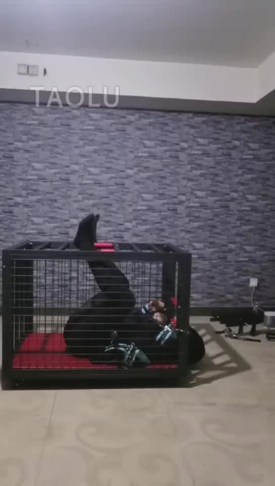 狗笼 捆绑