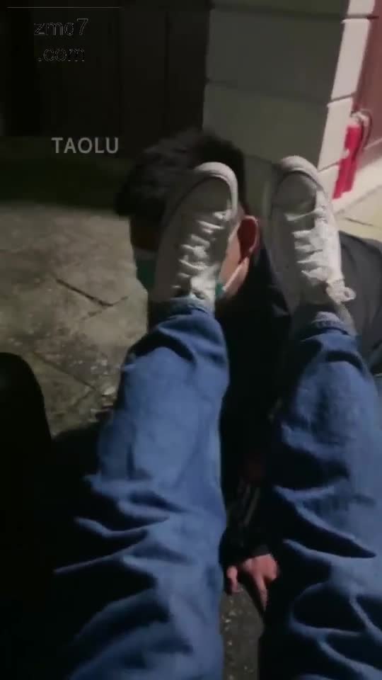 双S户外玩狗