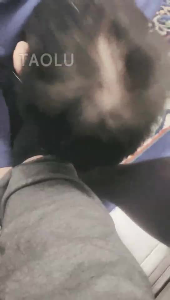 舔脚 喂食
