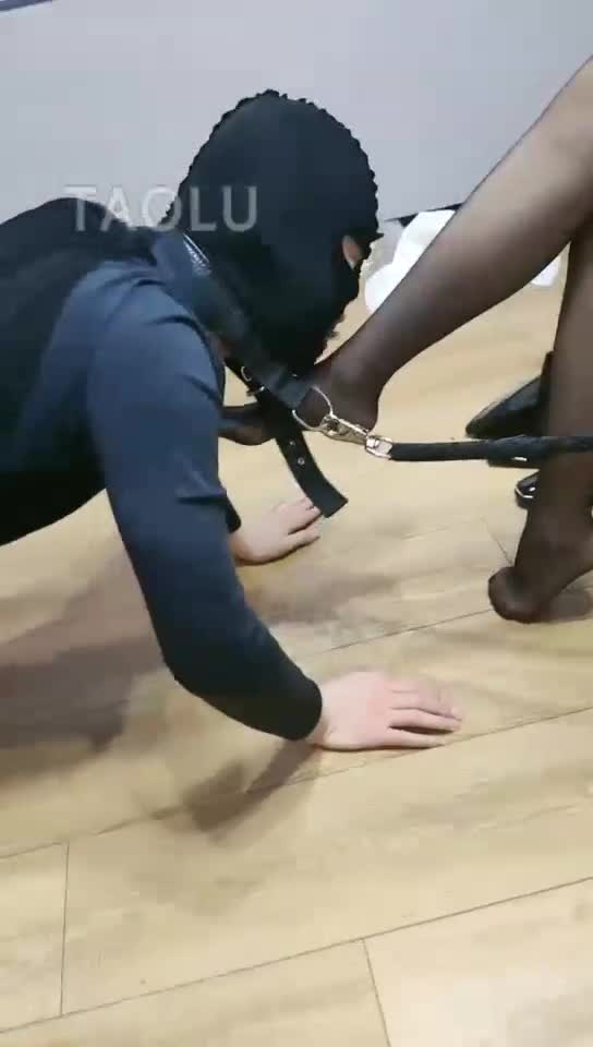 情侣主玩狗