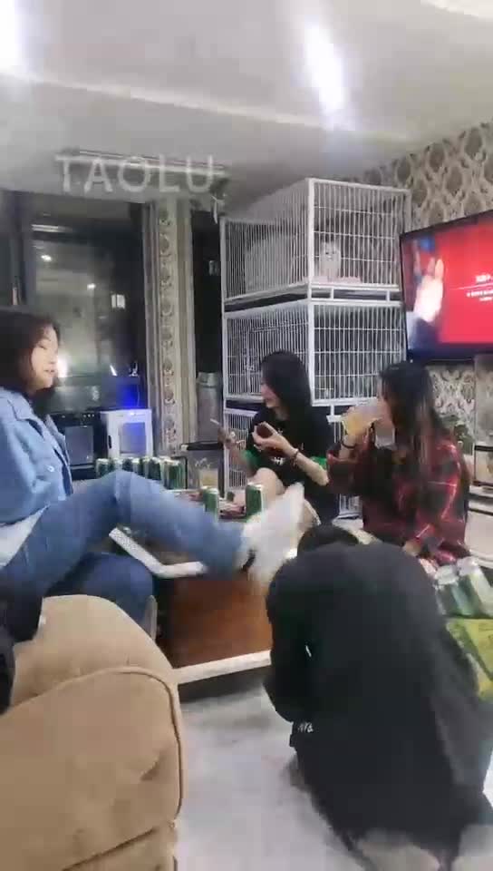 三个主子玩狗子 喝啤酒 玩游戏 狗子喝圣水