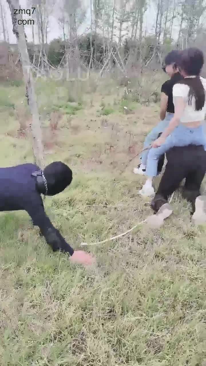 春游户外