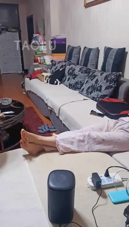 服务主人