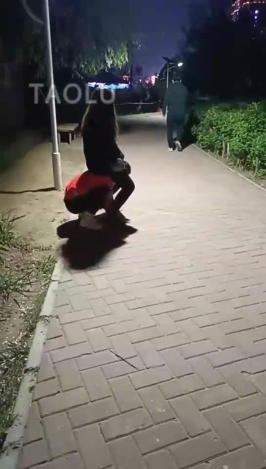 户外遛狗