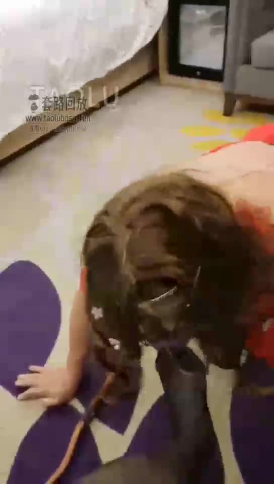 调教CD贱狗