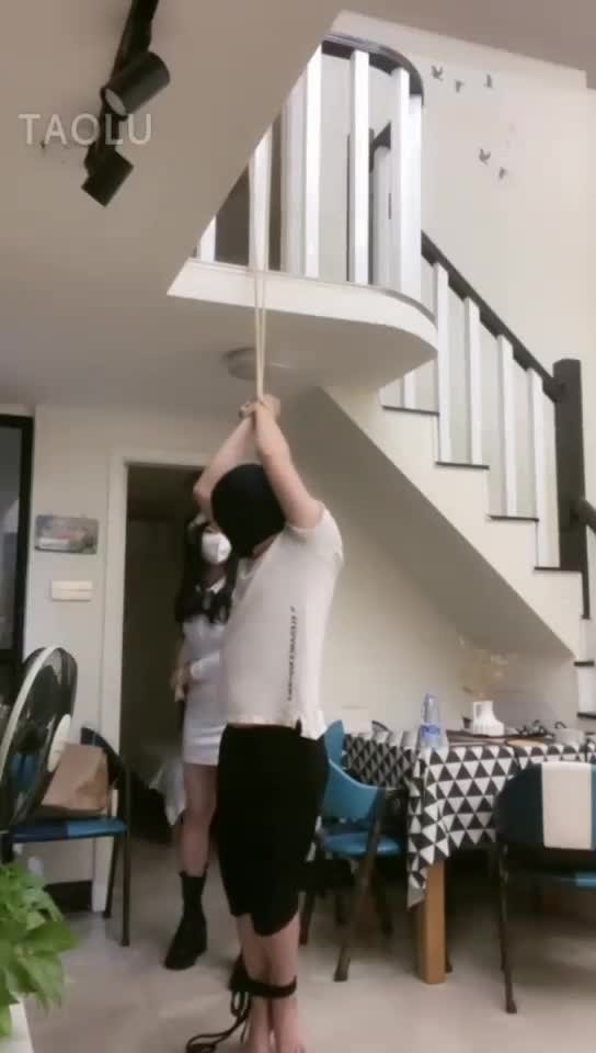 吊打 训狗