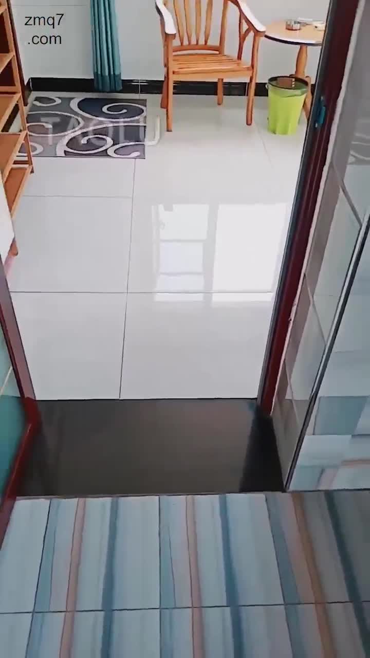调教家奴