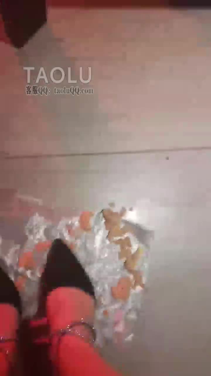 第一视角 踩火腿 狗狗们吃饭了