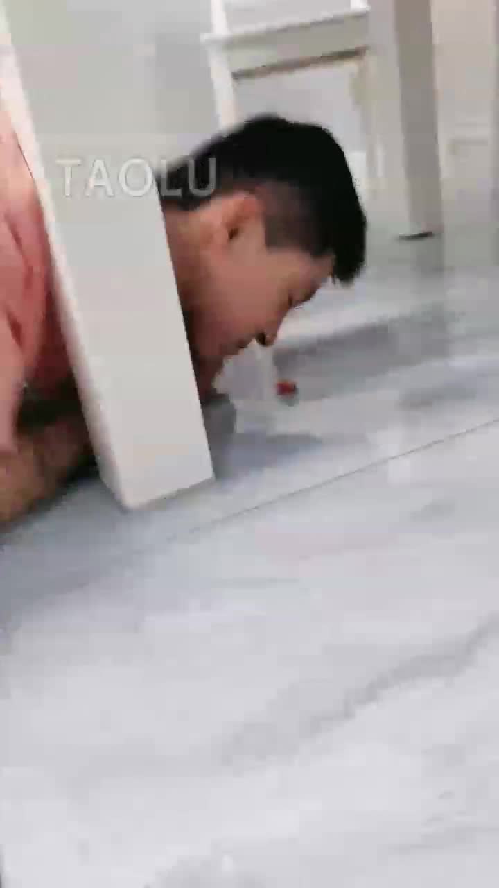 双主喂桌下双狗