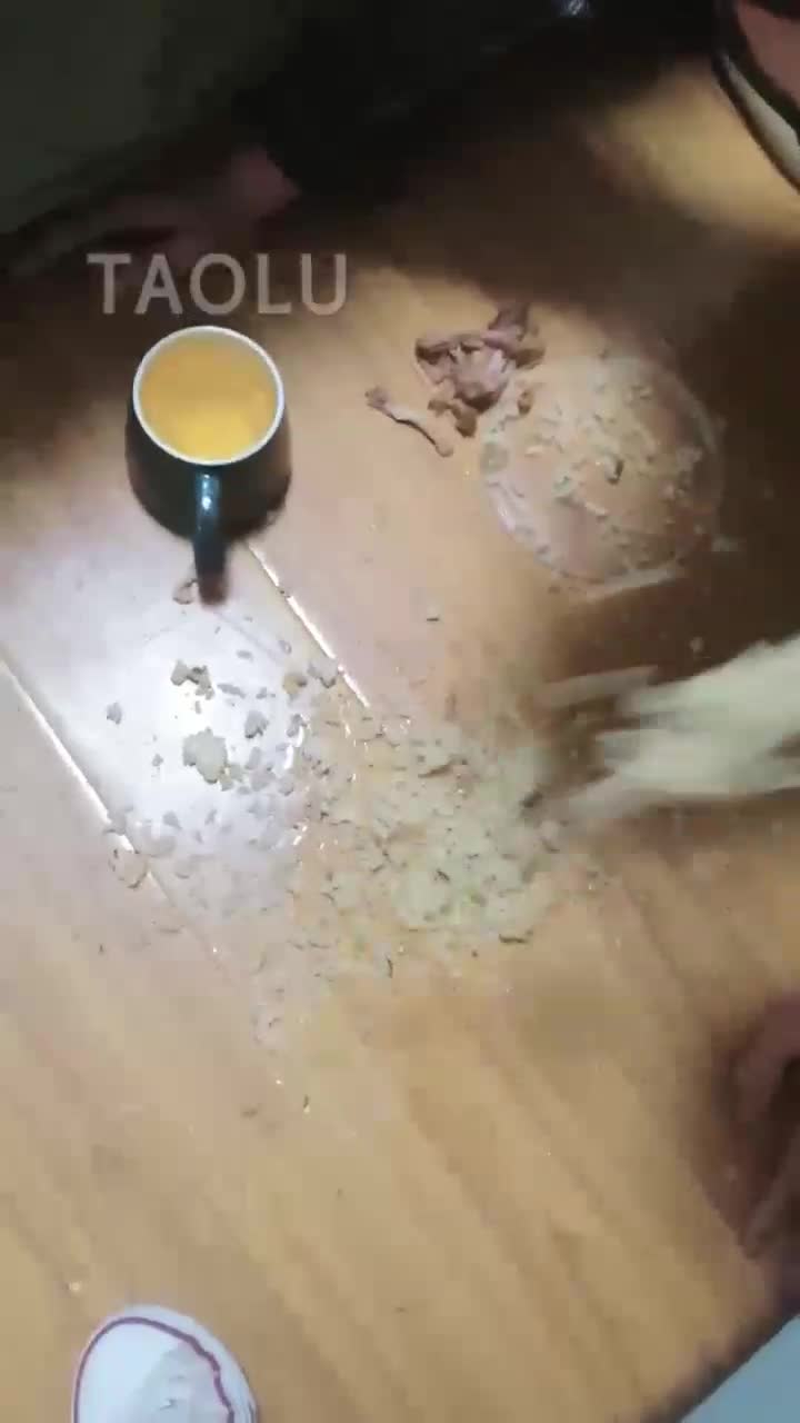 帆布鞋 喂食 圣水