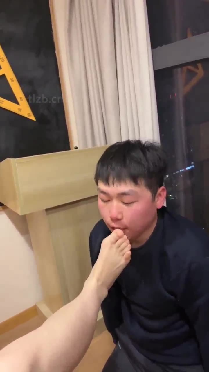 食物链的顶端