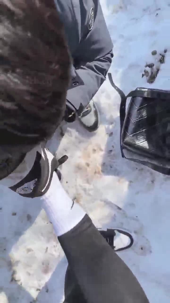 带狗爬山吃泥巴