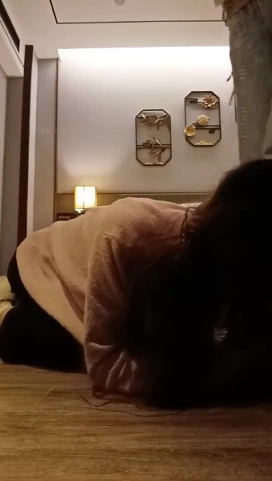 你们的女神 我的鞋