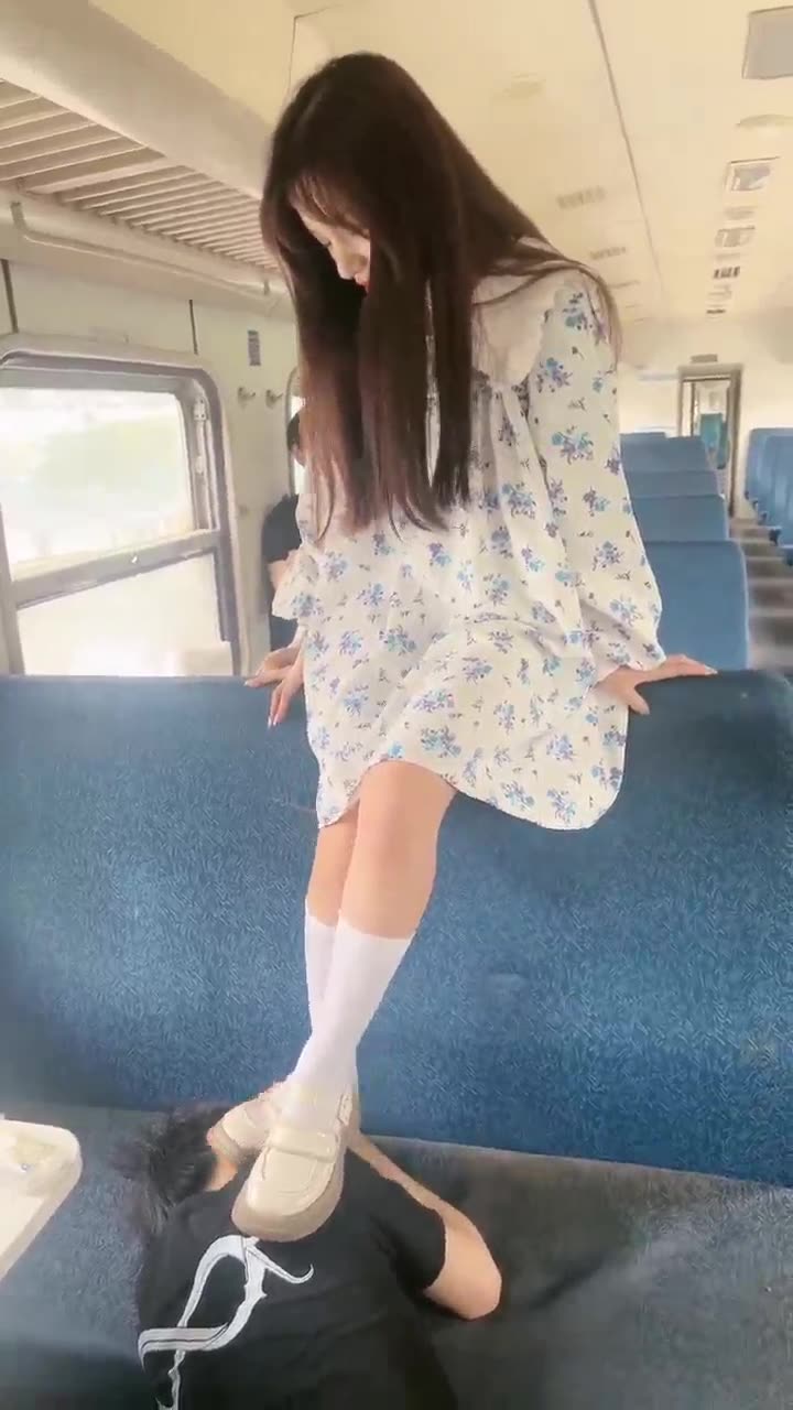 火车上群调