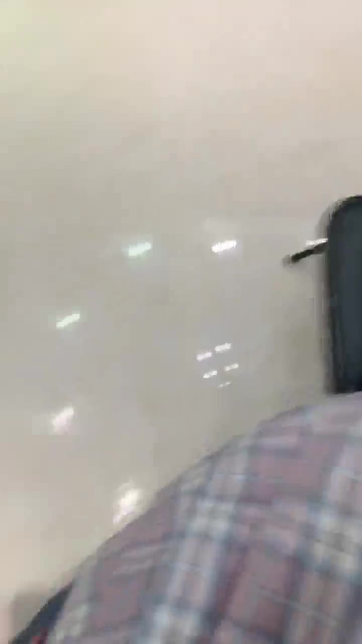 两个可爱的女主 调教废物