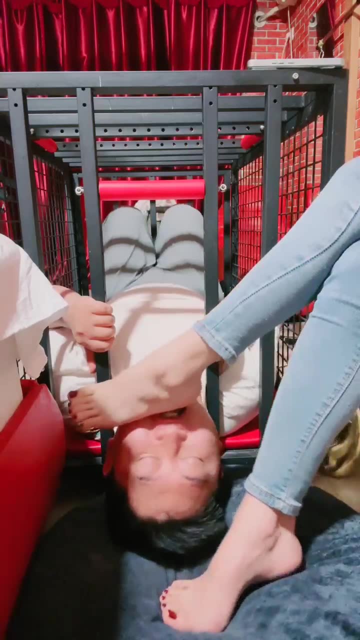 圈养狗