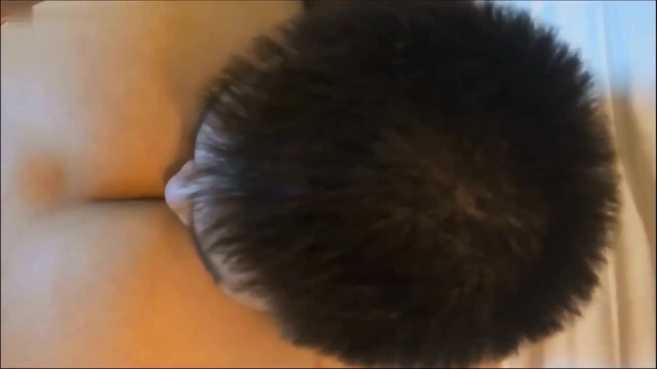 无言夫妻主强制贱狗口舌伺候女主