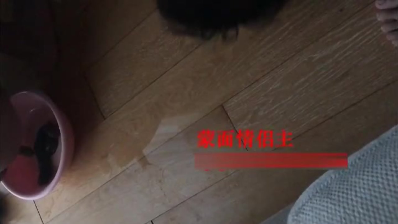 蒙面夫妻主调教厕奴强制黄金