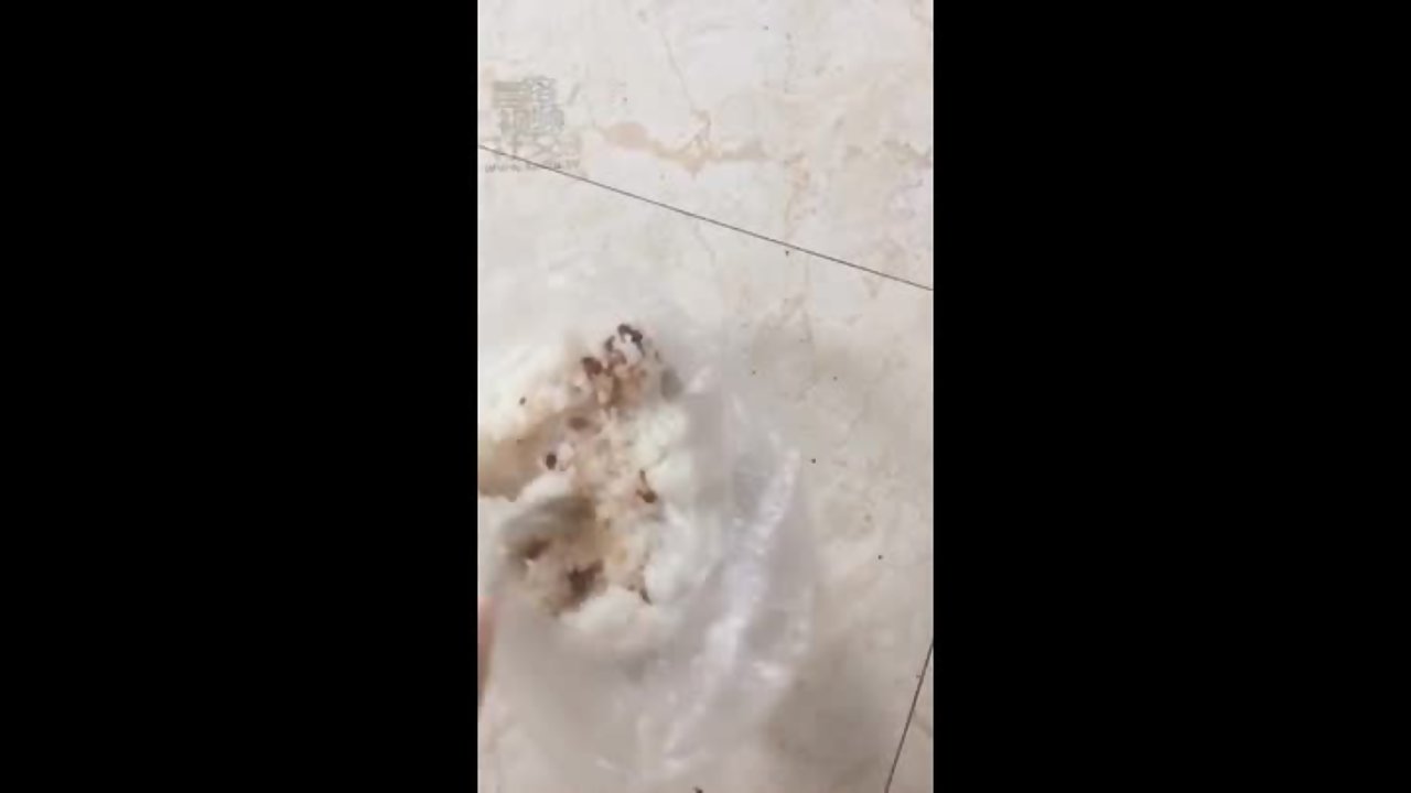 女王喂食贱狗