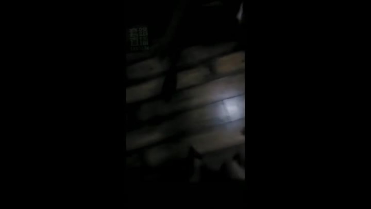 两姐妹调老狗