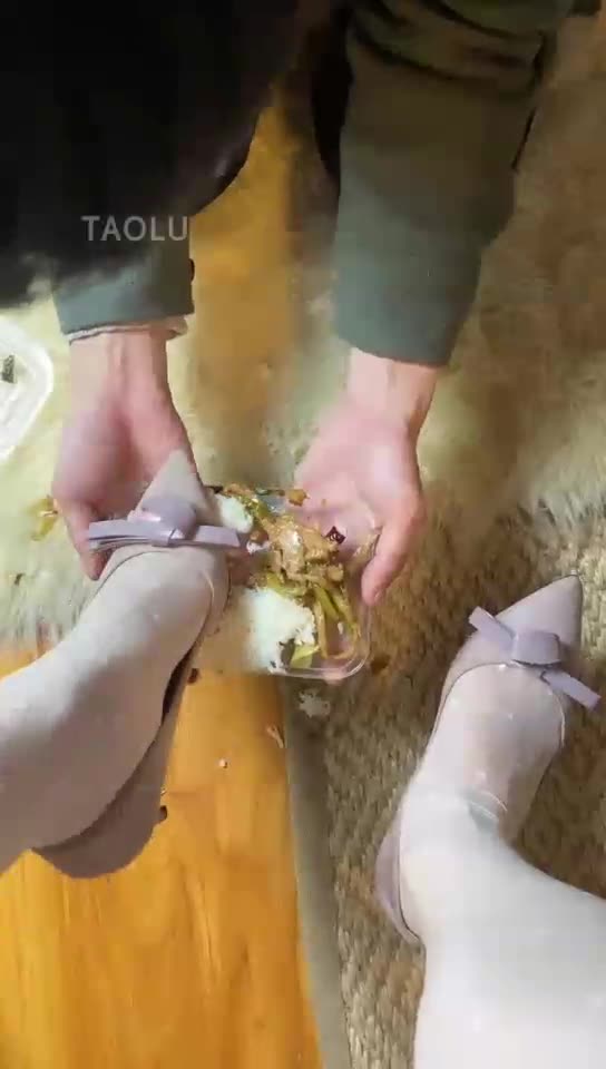 猪狗不如的晚餐 喂食