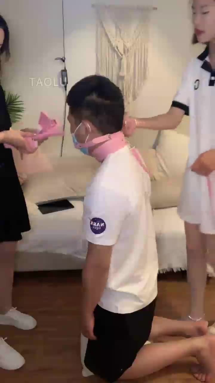双女主调狗