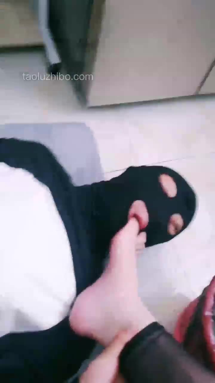 家奴的日常