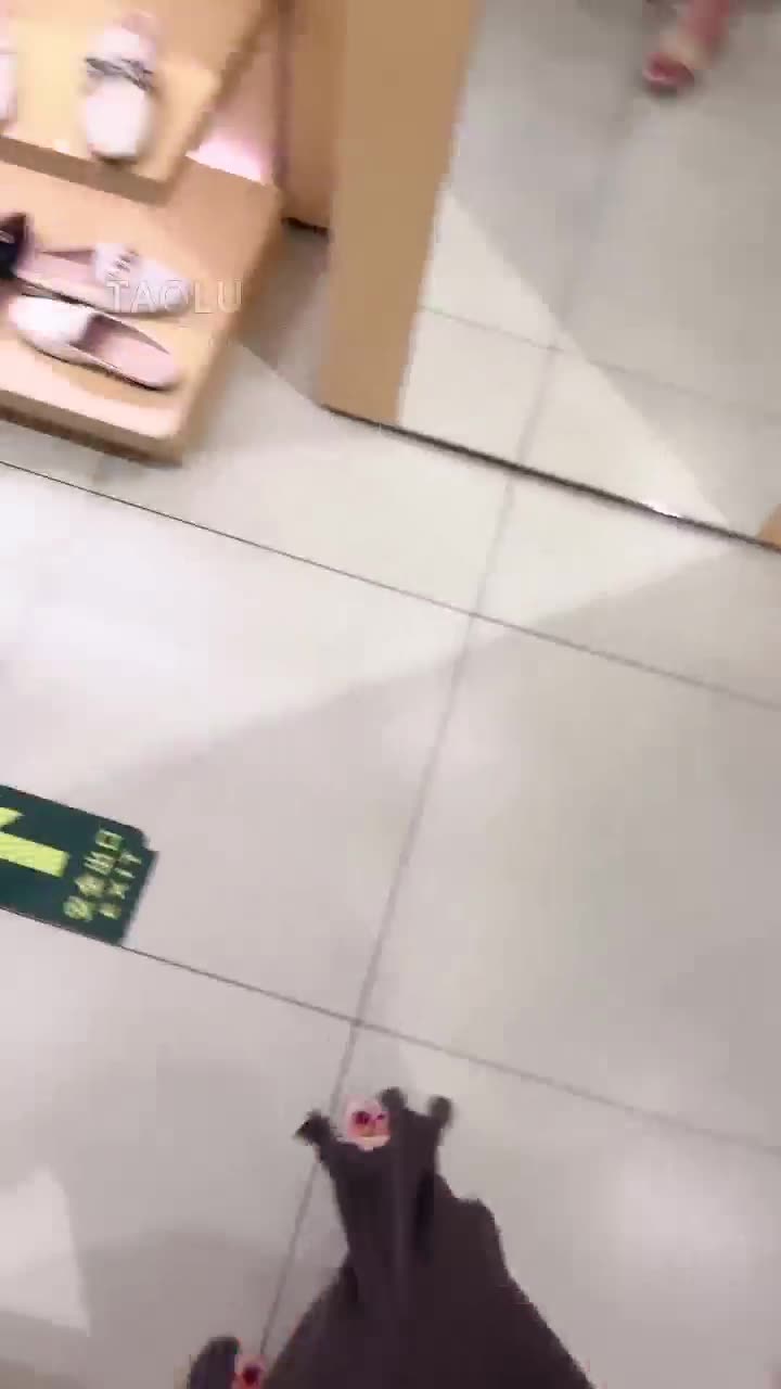 带狗来商场