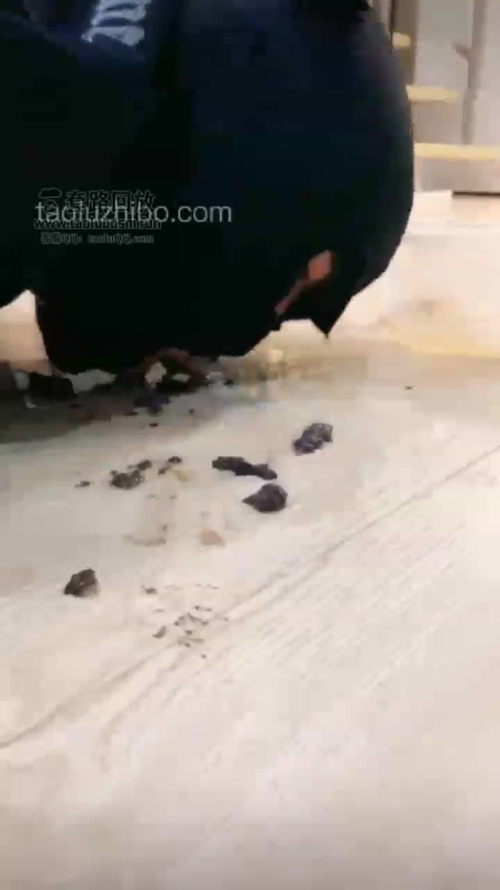 和悠悠S玩狗