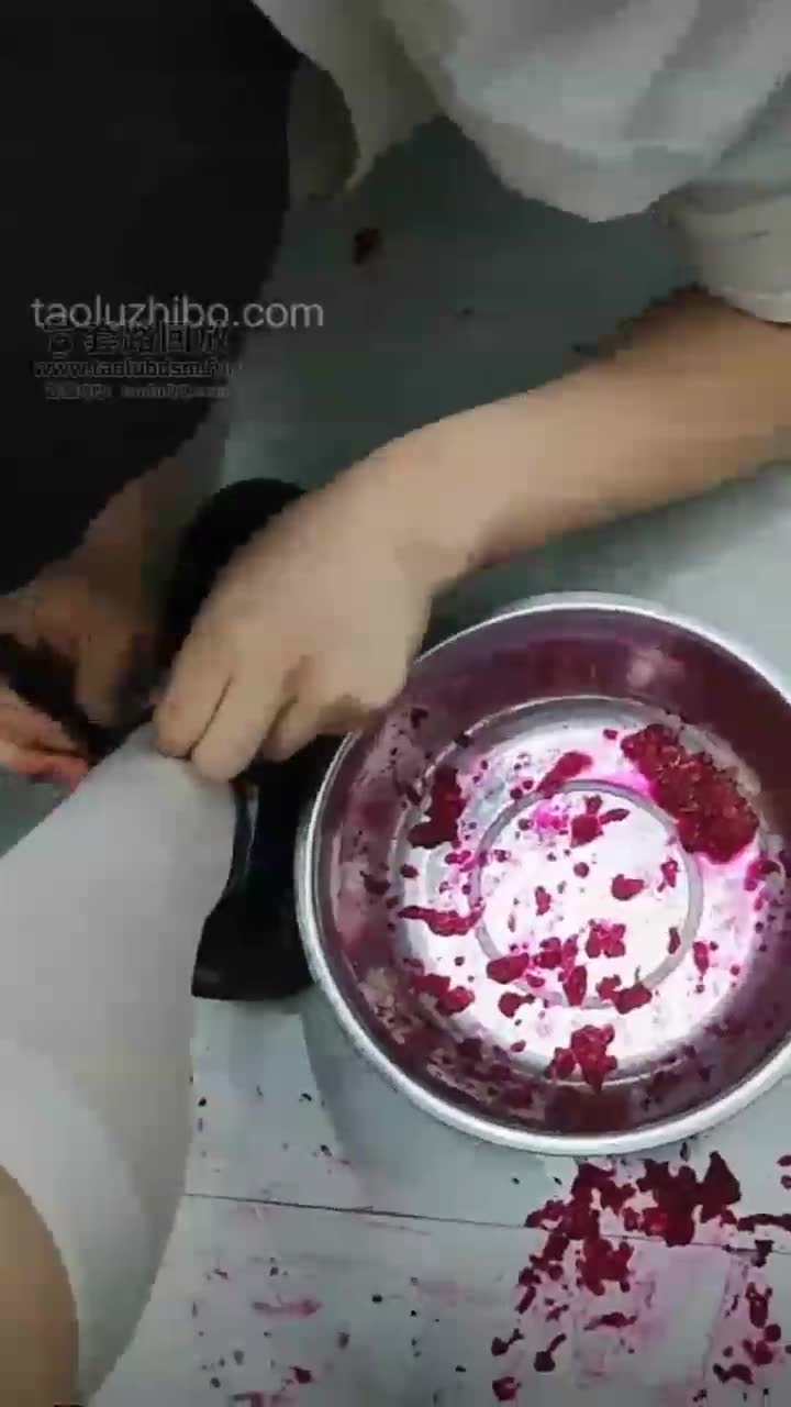 用小腿袜给火龙果榨汁 跟圣水混合搅拌给狗狗喝