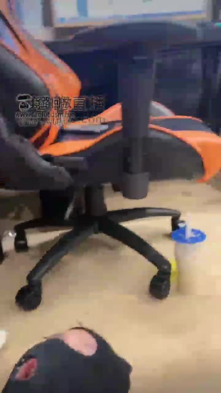 首调公畜