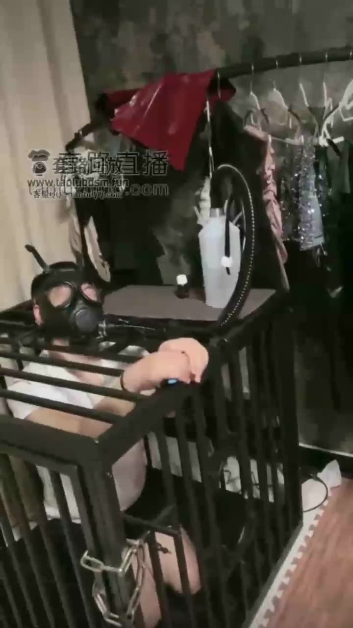 做奴隶的 连呼吸都属于主人