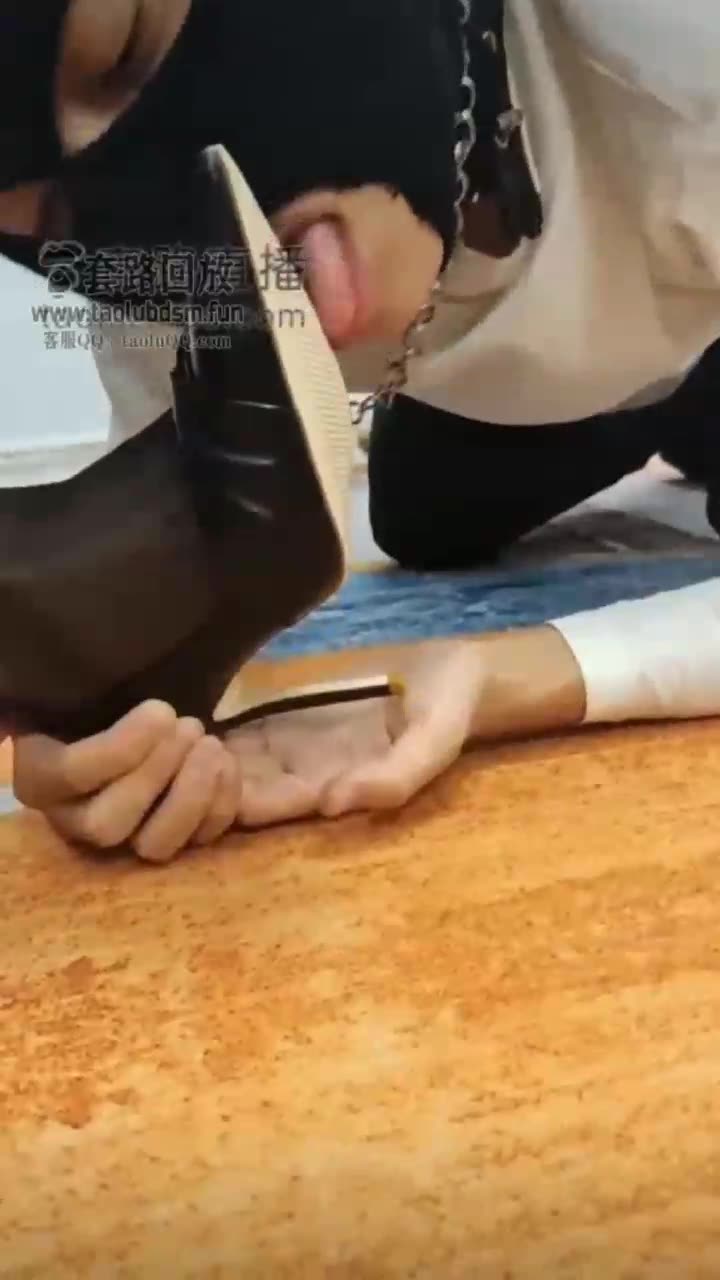圈养训练 狗粮碗吃饭