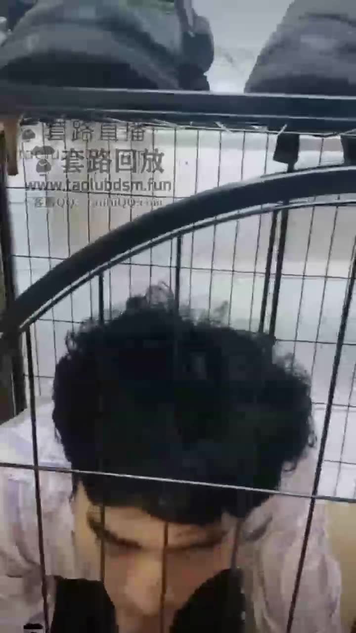 调教 在狗笼里面吃黄金拌饭