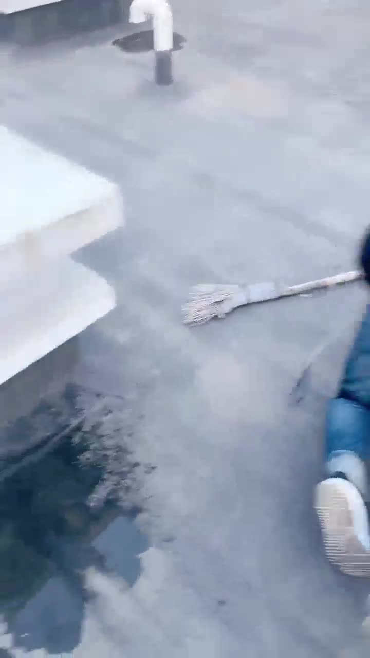 天台溜溜狗