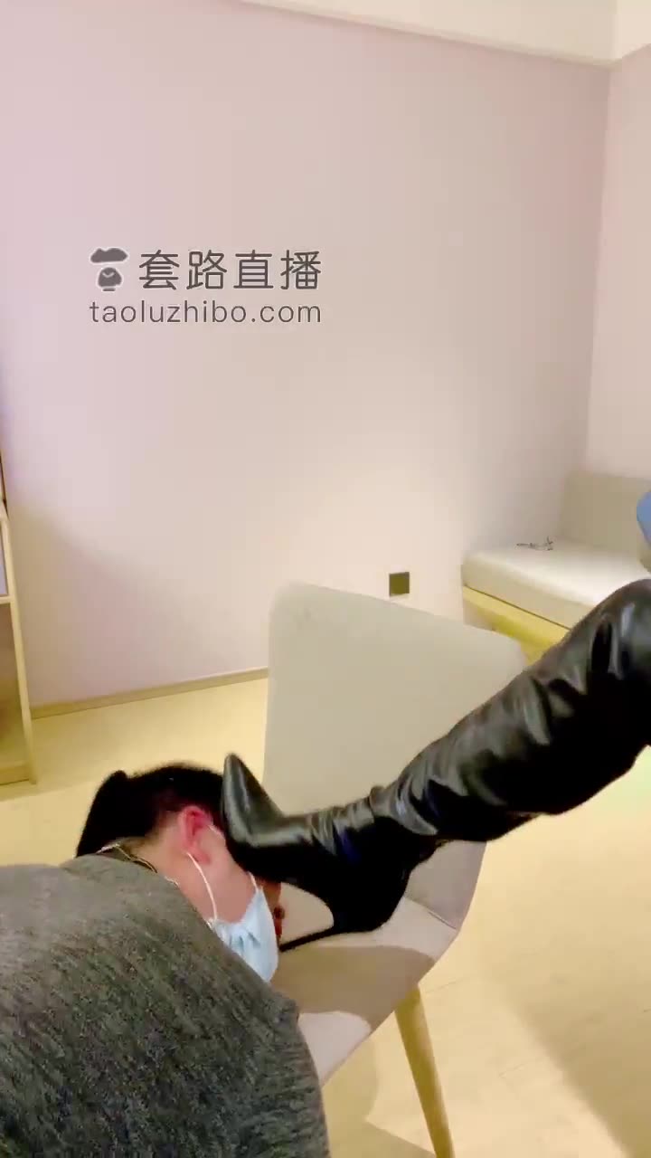 主人的宠爱